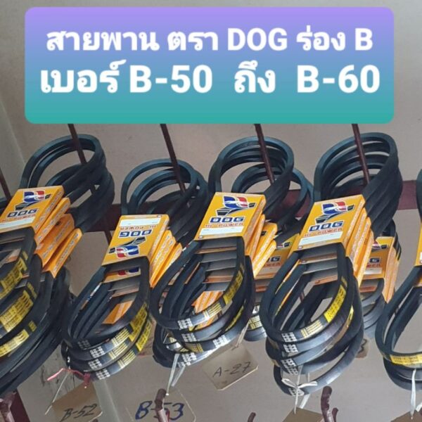 สายพาน ตรา DOG ร่องB  เบอร์ B-50 ถึง B-60