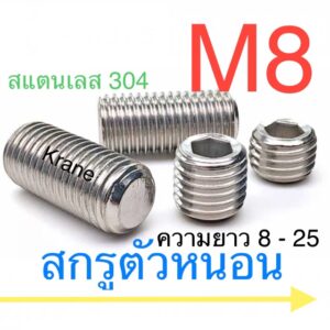 สกรูตัวหนอน สแตนเลส M8 เกลียว 1.25 ยาว 8 - 55 มิล