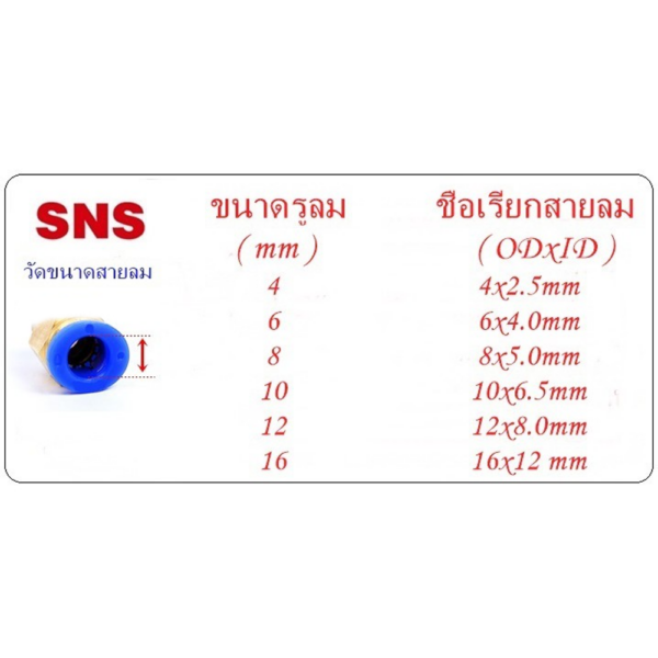 12มิล