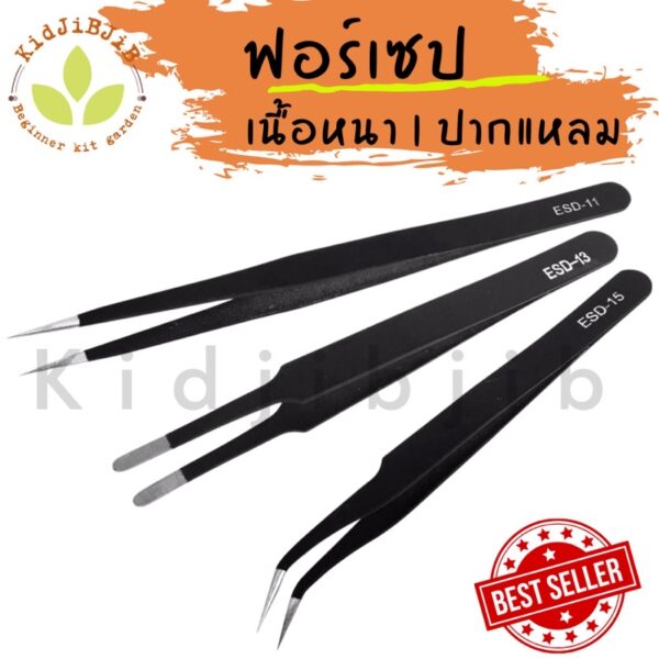 ฟอร์เซป forcep รุ่น Premium รุ่นแนะนำ ปากคีบ แสตนเลส สำหรับคีบเมล็ด ผสมเกสร แคคตัส ไม้อวบน้ำ ฟอเซป อย่างดี ฟอร์เซปสีดำ