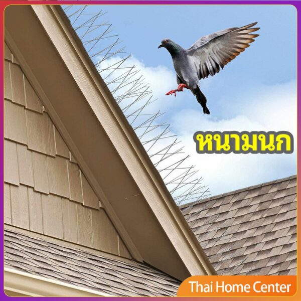 หนามไล่นก ที่กันนก อุปกรณ์ไล่นกทำรัง สแตนเลส หนามกันนก ไล่แมว หนามไล่นกพิราบ bird thorn