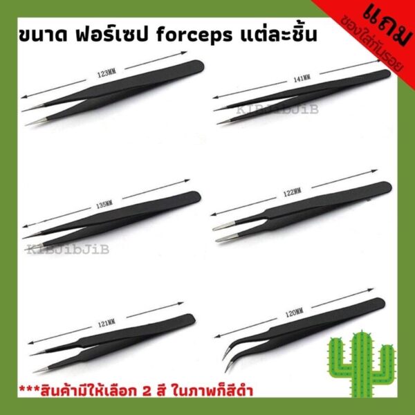 สีดำ ที่หนีบ ที่คีบ   forceps  อุปกรณ์แคคตัส(กระบองเพชร) ฟอร์เซป อุปกรณ์จัดสวน ไม้น้ำ