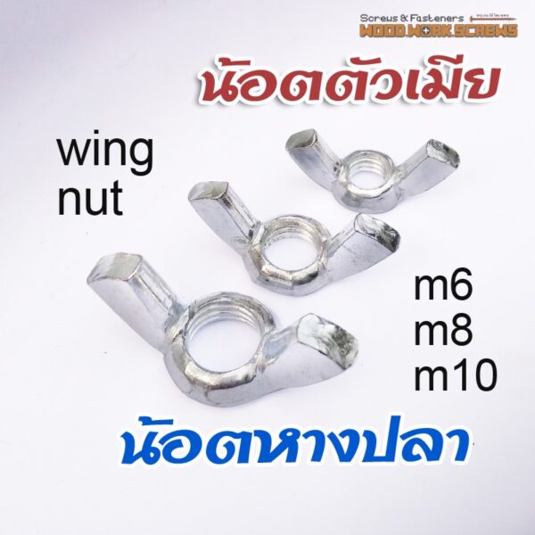 [10 ตัว] น๊อตหางปลา น้อตตัวเมีย Wing nut สำหรับยึดกับสกรูตัวผู้ ใช้มือหมุน วิงนัท ขนาด M4 M5 M6 M8 M10 ใช้คู่กับน้อตเกลียวมิล วิงนัท นอต