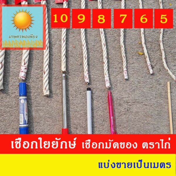 10 มิลลิเมตร แบ่งขายเป็นเมตร