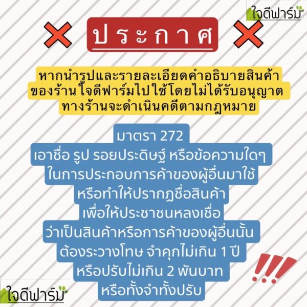 ค้างไม้เลื้อย