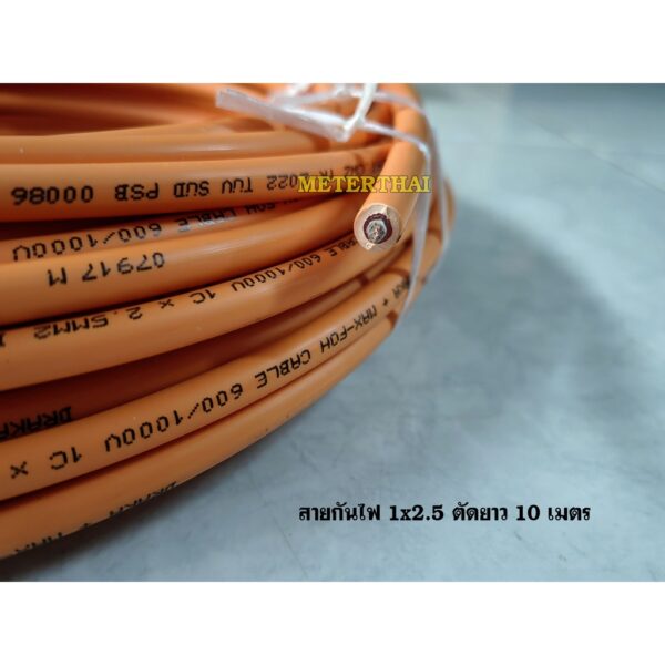 MAX-FOH ขนาด 1x2.5 Sqmm.Fire Resistant Cable ตัดยาว 10 เมตร