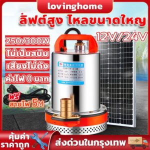 สแตนเลส ปั๊มจุ่ม 1นิ้ว12/24V 300W ไดโว่ เจ้าพระยา แรงดันสู แบตเตอรี่ มอเตอร์ทองแดงแท้ 100%(ไดร์โว่ดูดน้ำ 12v ปั๊มน้ำ