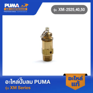 PUMA โปโลจิ๋ว อะไหล่ปั๊มลม รุ่น XM-2525