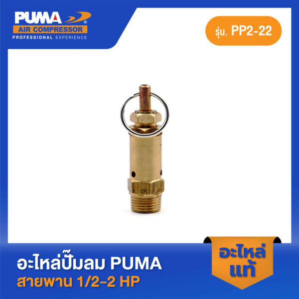 PUMA โปโลลม PUMA 3/8" 1/2-2 HP 3 สูบ อะไหล่ปั๊มลมสายพาน รุ่น PP-2