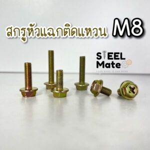 [ชุดละ 5 ตัว] สกรูหัวแฉกหกเหลี่ยมติดแหวน สกรูหัวแฉกติดจาน ขนาด M8