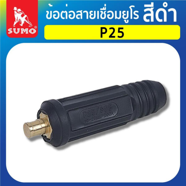 ข้อต่อสายเชื่อมยูโร P25