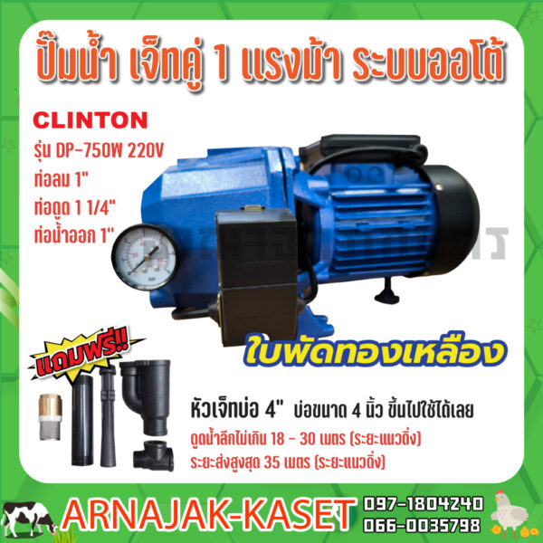 ปั๊มเจ็ท ท่อคู่ระบบออโต้ 1 แรงม้า 750W ดูดลึก 30 เมตร  ปั๊มน้ำ ใบพัดทองเหลืองแท้ CLINTON รุ่น DP750W